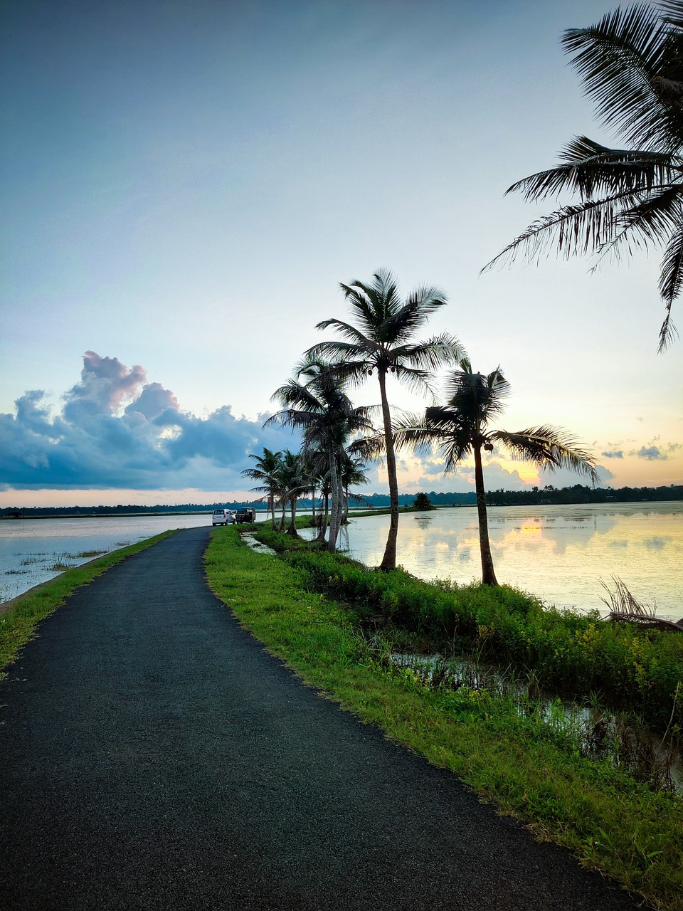 nature, road, landscape-6580438.jpg