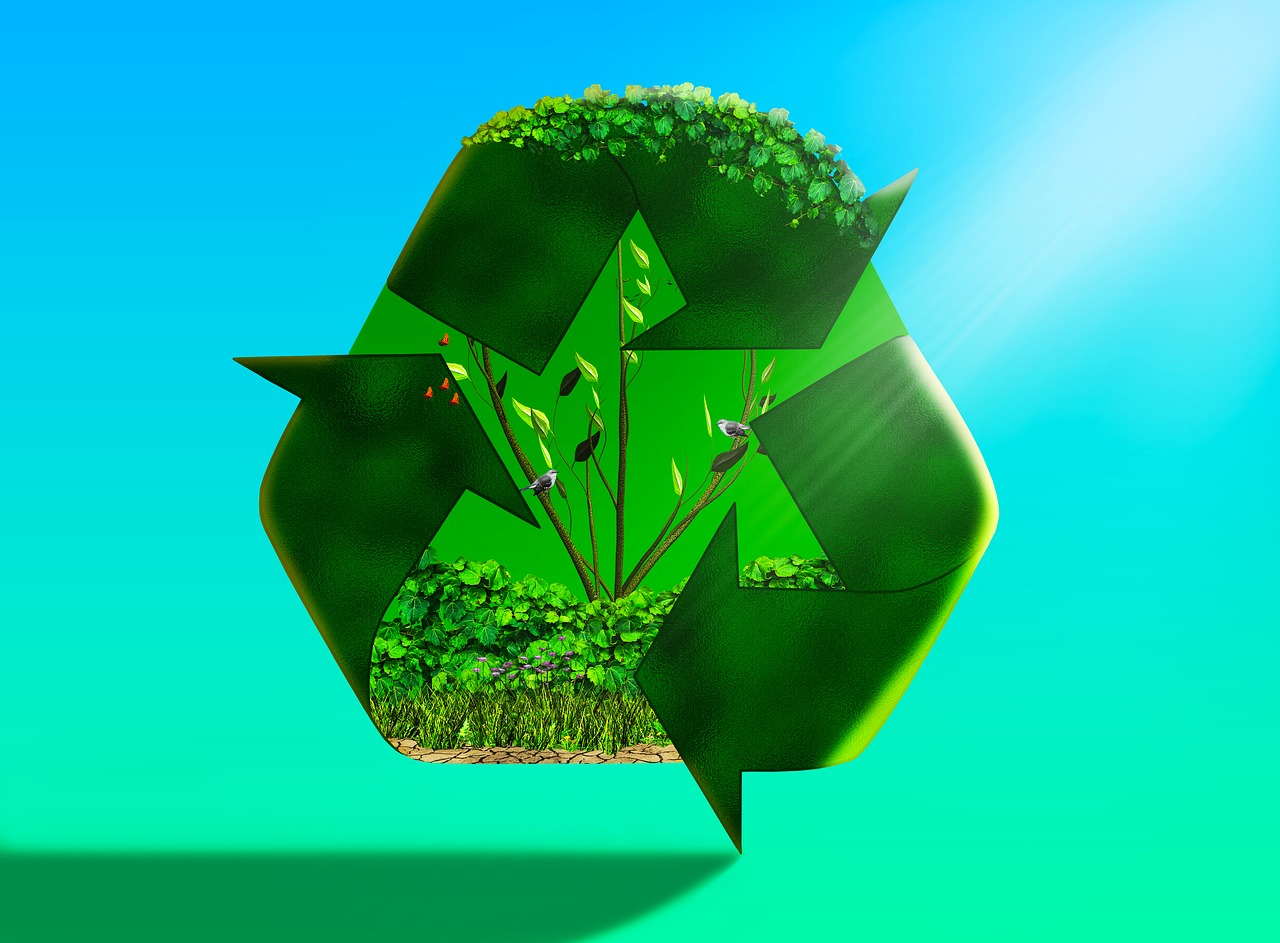 recycled, eco system, trees-8111001.jpg